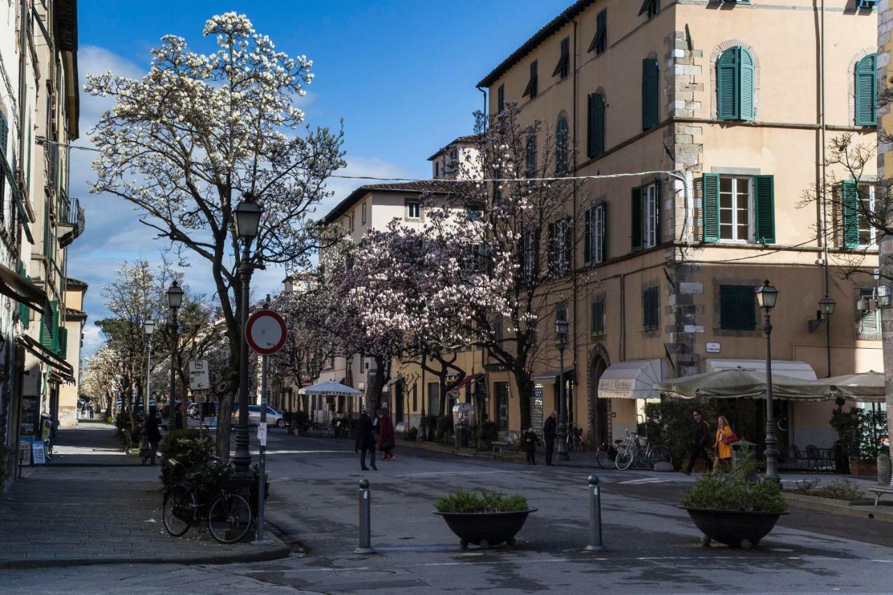 Casa Sophie Daire Lucca Dış mekan fotoğraf