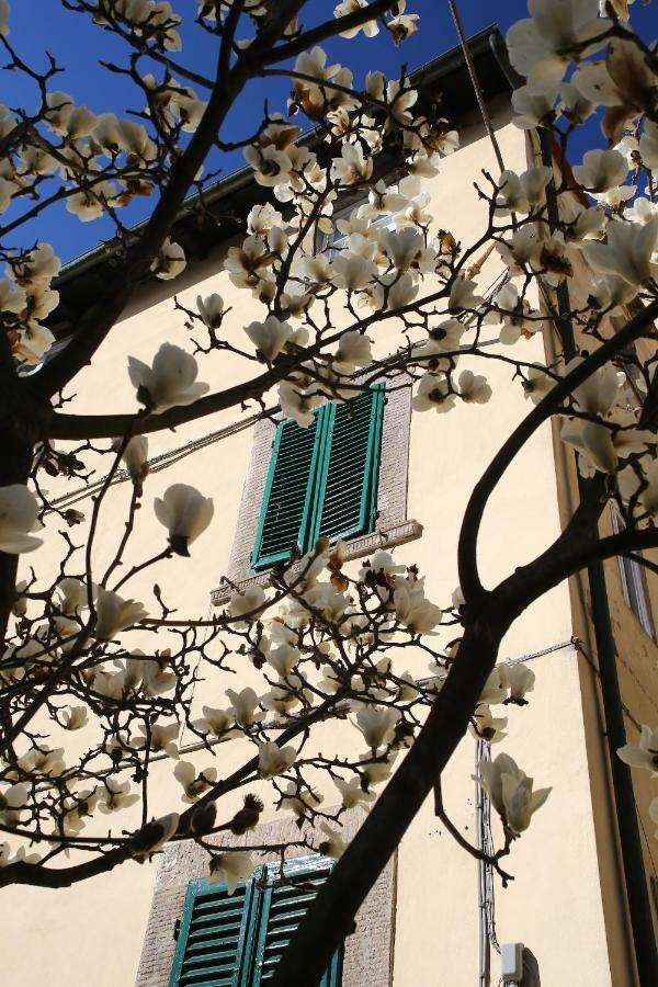 Casa Sophie Daire Lucca Dış mekan fotoğraf